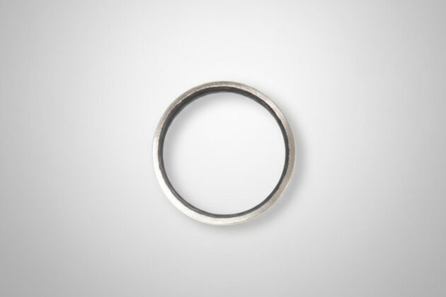 BioRing – Bild 2
