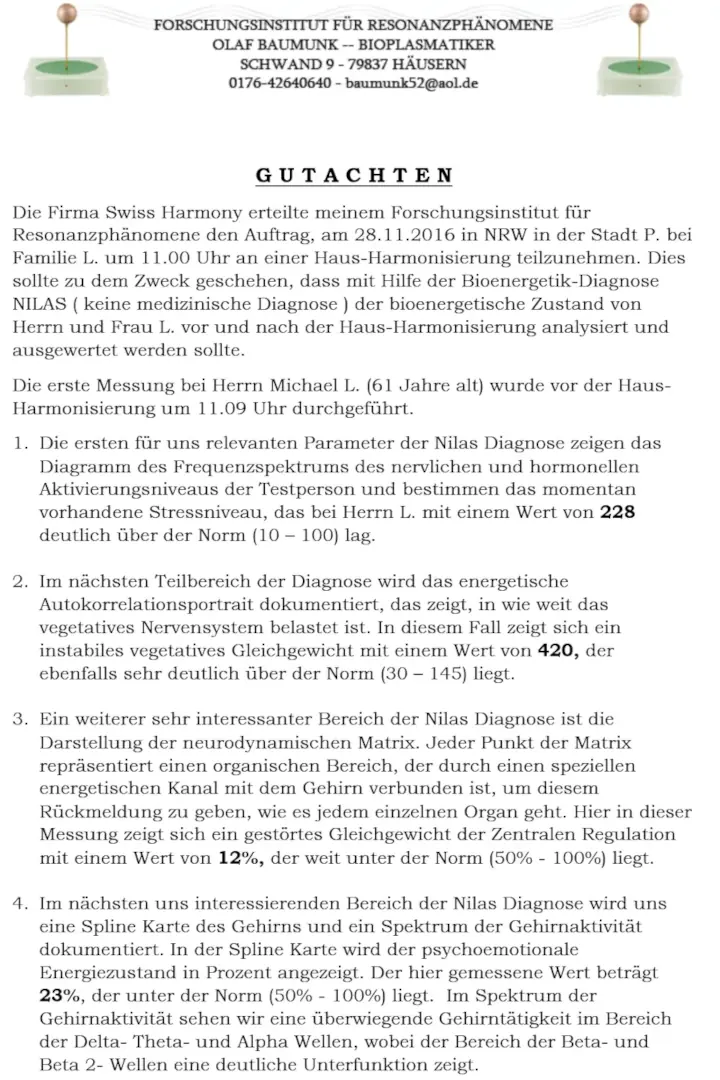 Gutachten-Michael-L-1